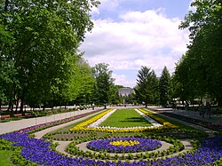 Uzdrowisko Inowrocław - Dywany kwiatowe